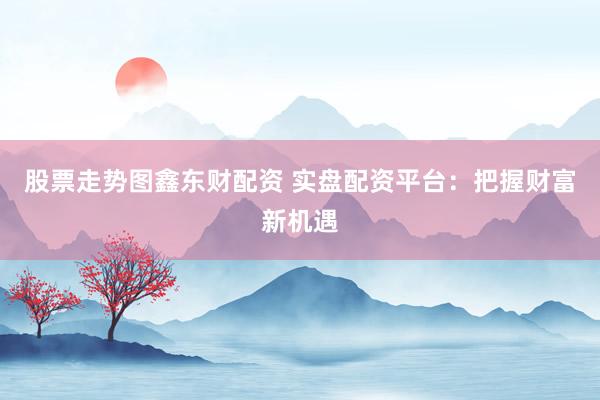 股票走势图鑫东财配资 实盘配资平台：把握财富新机遇