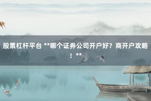 股票杠杆平台 **哪个证券公司开户好？商开户攻略！**