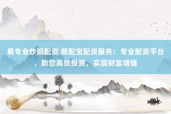 最专业炒股配资 顺配宝配资服务：专业配资平台，助您高效投资，实现财富增值