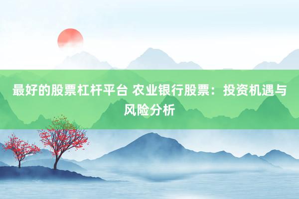 最好的股票杠杆平台 农业银行股票：投资机遇与风险分析