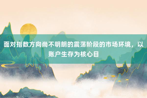 面对指数方向尚不明朗的震荡阶段的市场环境，以账户生存为核心目