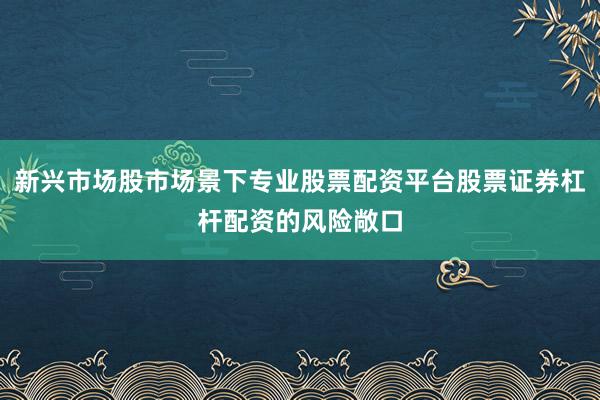 新兴市场股市场景下专业股票配资平台股票证券杠杆配资的风险敞口